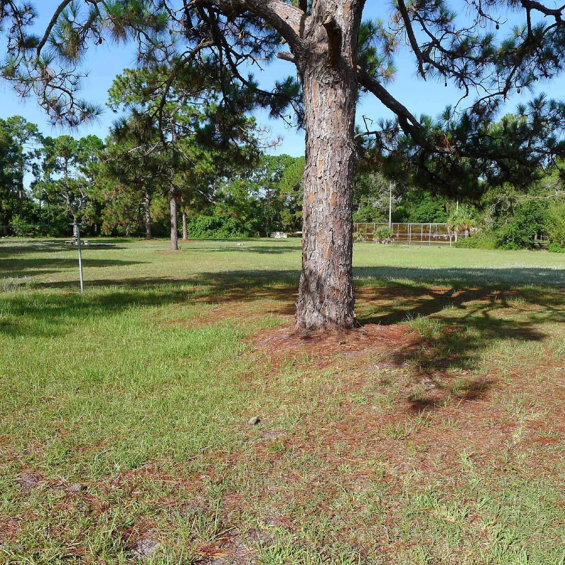 Photo of 4253 Pinewood Road