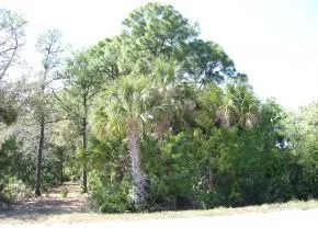 Photo of 0 Cox