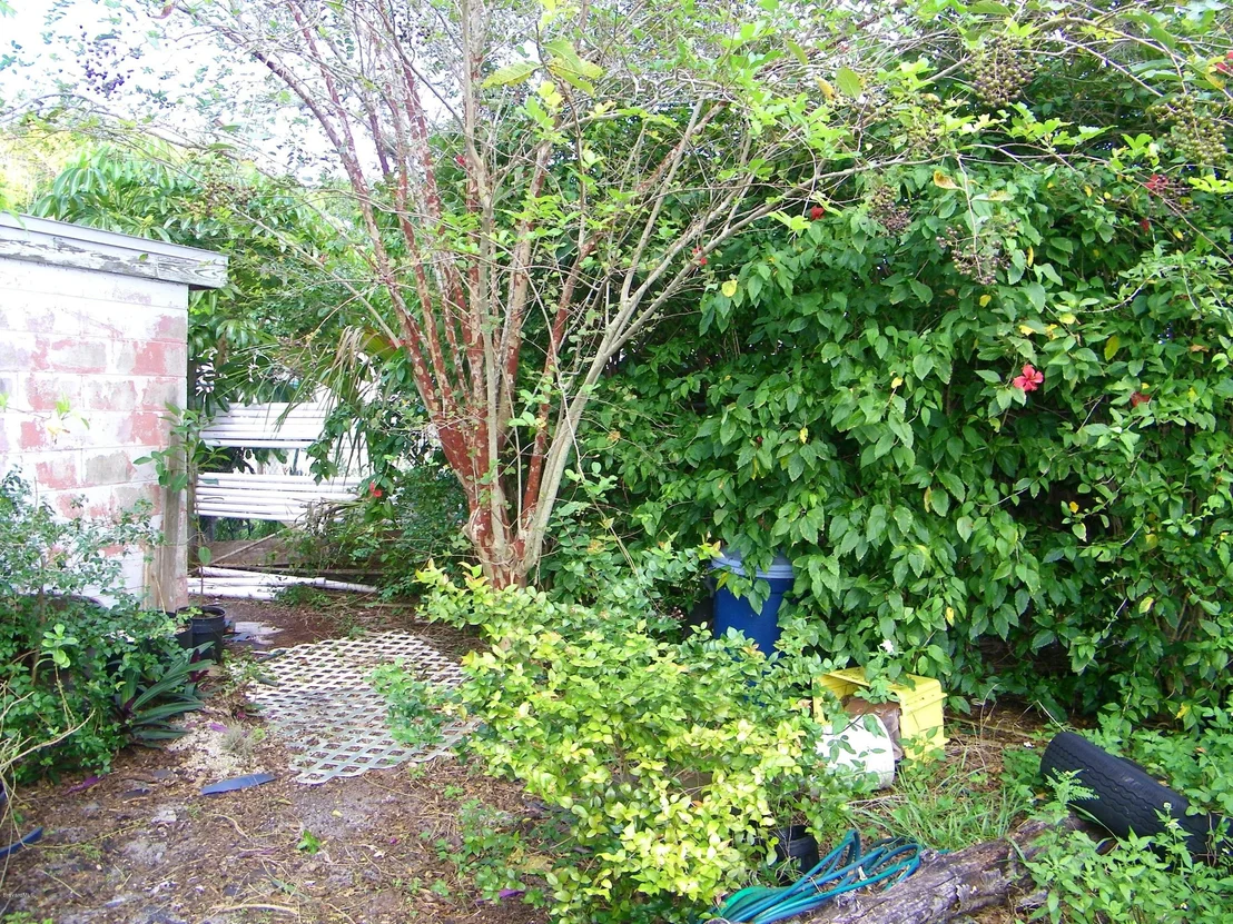 Photo of 2381 Burns Avenue