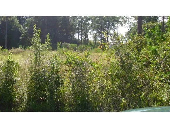 Photo of 2410 Oklahoma