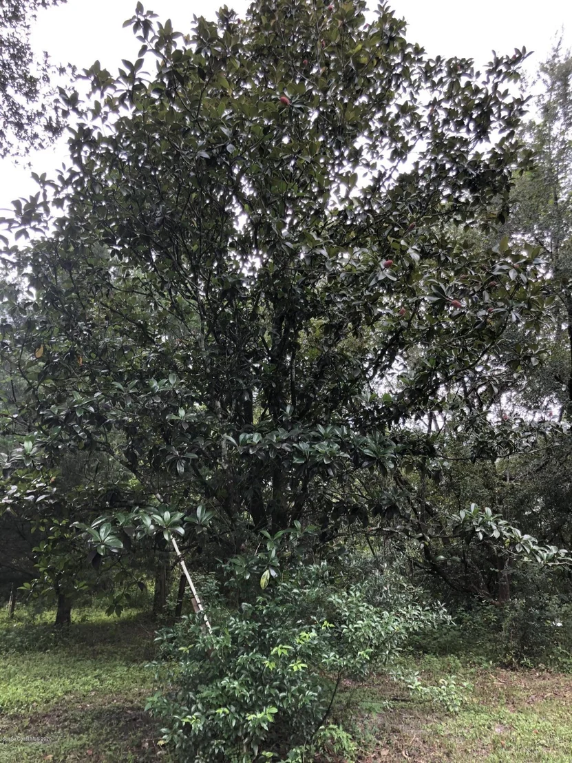 Photo of 5000 Gandy Road