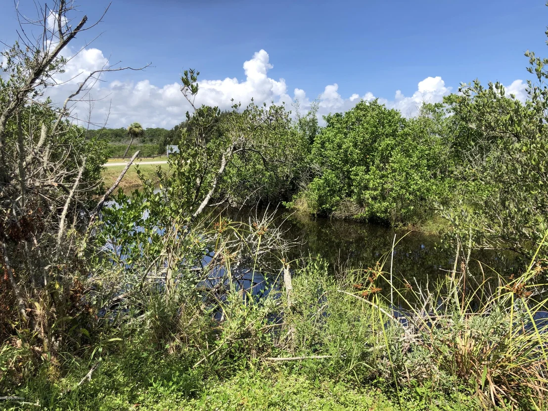 Photo of 6050 Mangrove Street