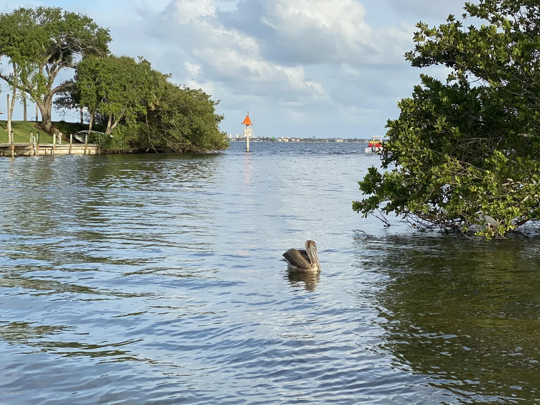 Photo of 572 Royal Palm Drive