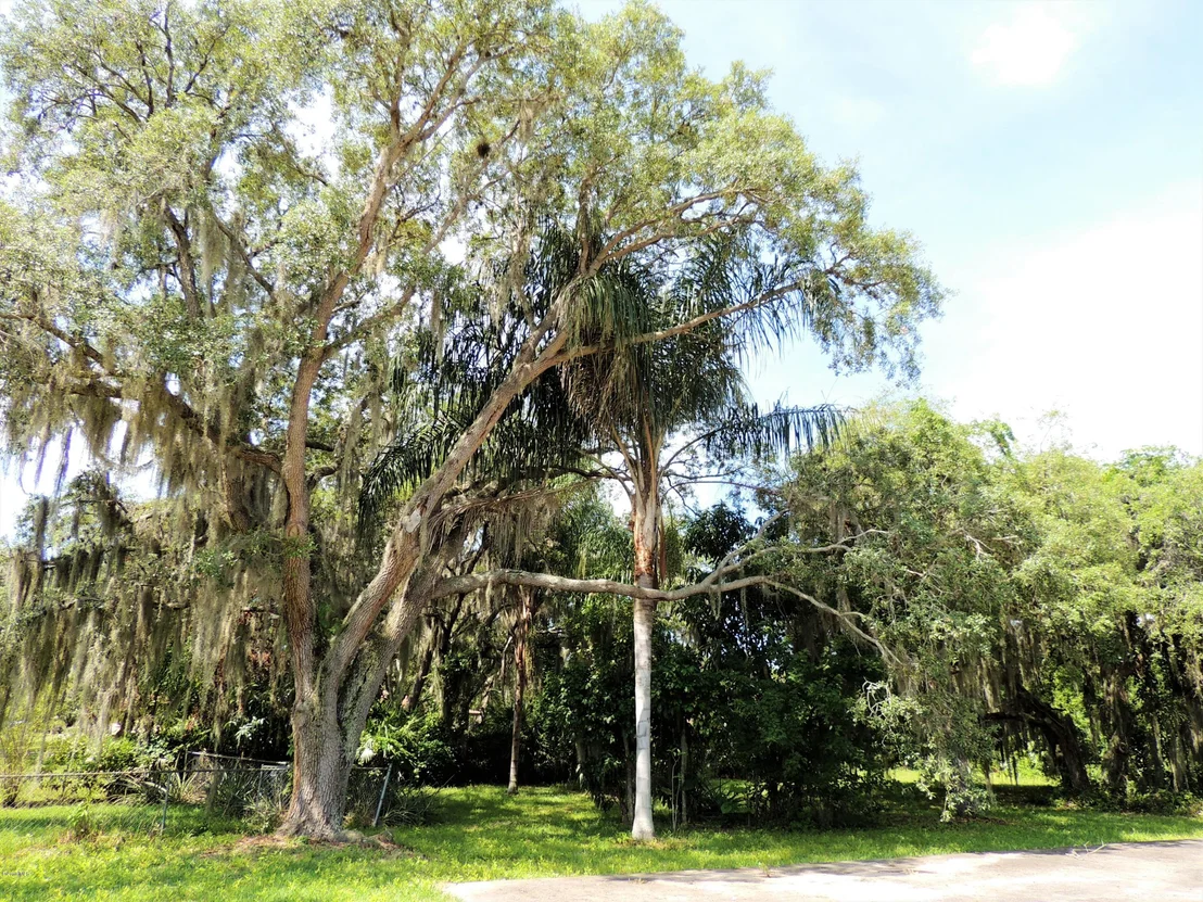 Photo of 3570 Turtle Mound Road