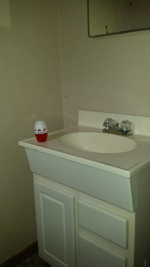 Photo of 809 Camellia Court