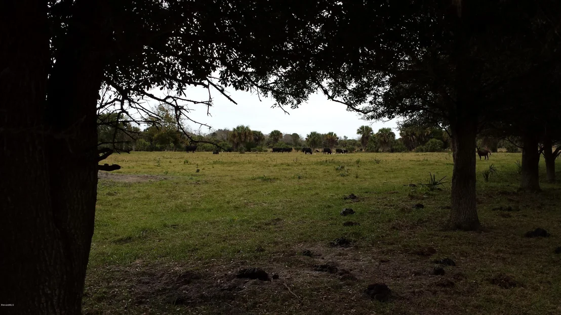 Photo of 6767 Laurel Oak Avenue