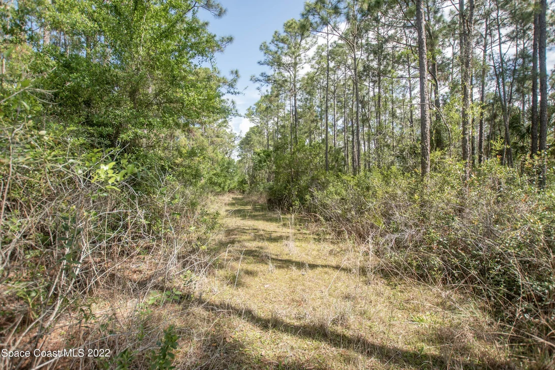 Photo of 1131 Owl Circle
