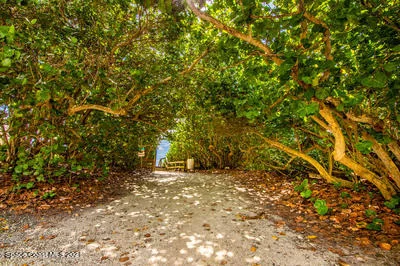 Photo of 5135 Palm Drive