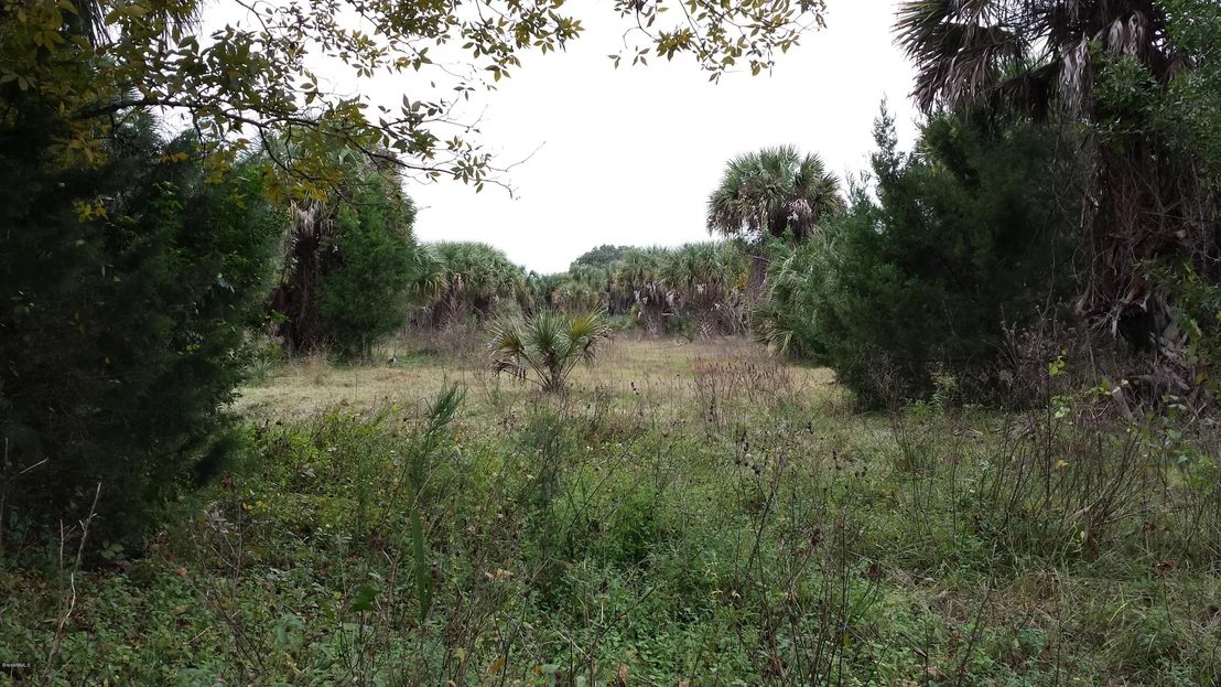 Photo of 6767 Laurel Oak Avenue