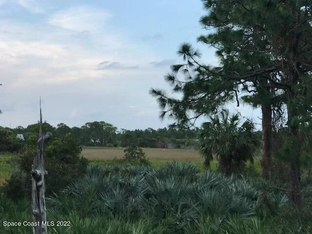 Photo of 6970 Indian River Boulevard