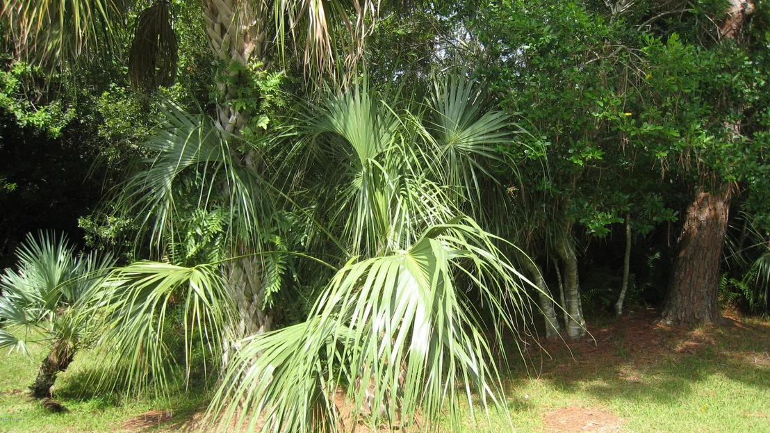 Photo of 1082 Wild Flower Drive