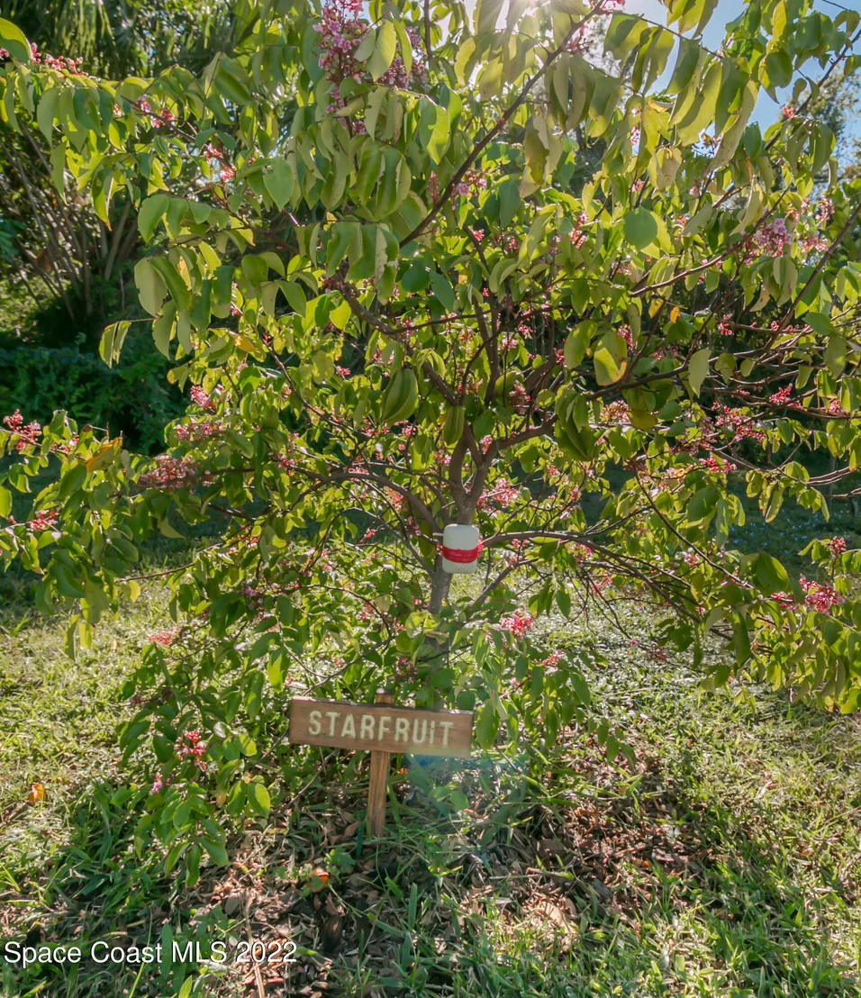 Photo of 1395 Lime Drive