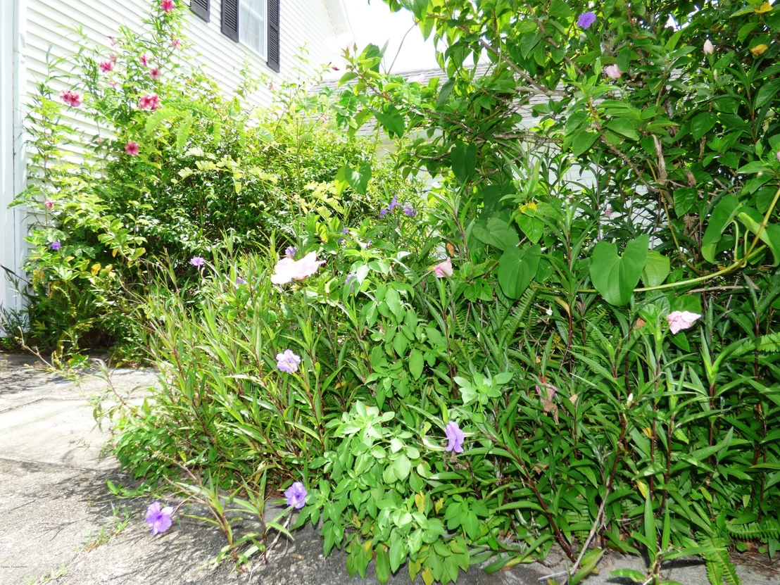 Photo of 3965 Miller Lane