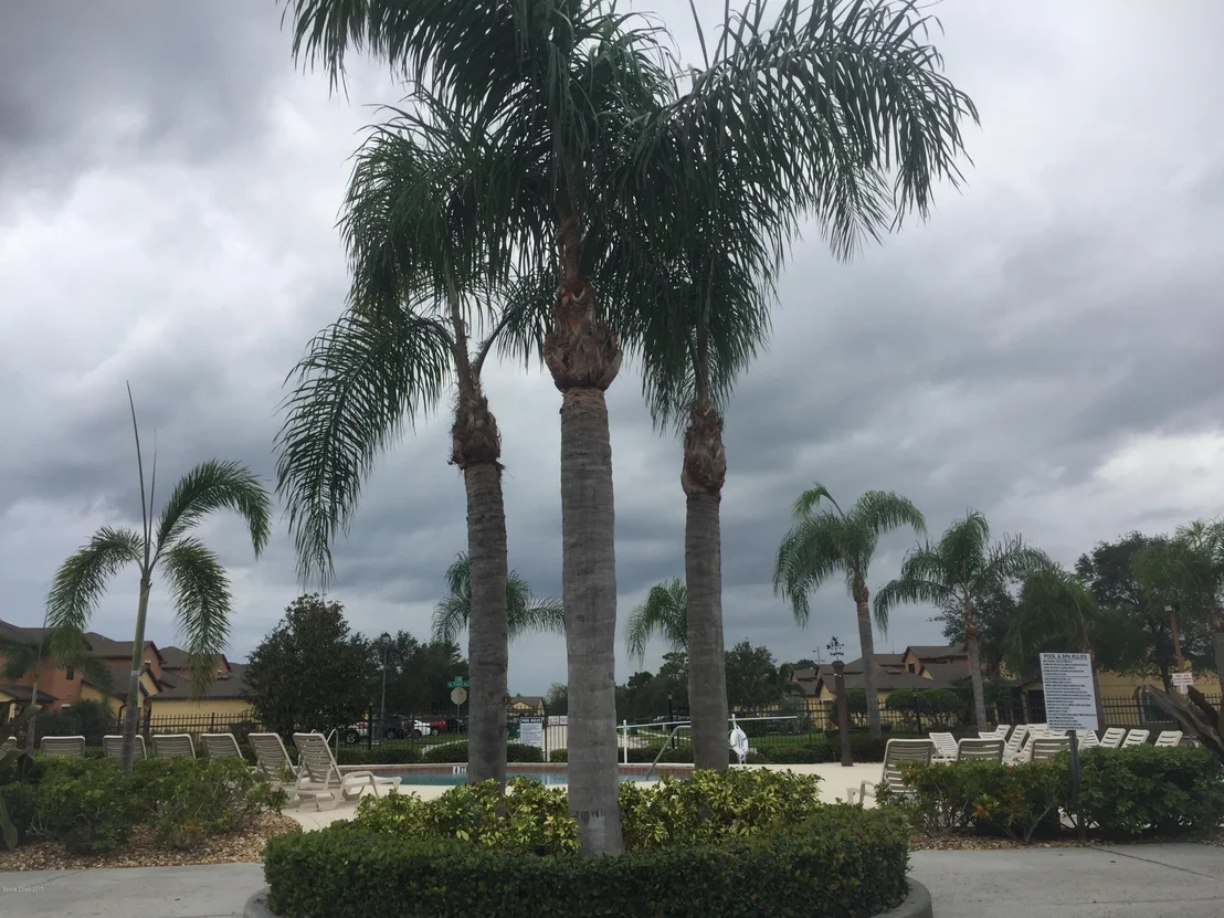 Photo of Unit 106 at 770 Luminary Circle