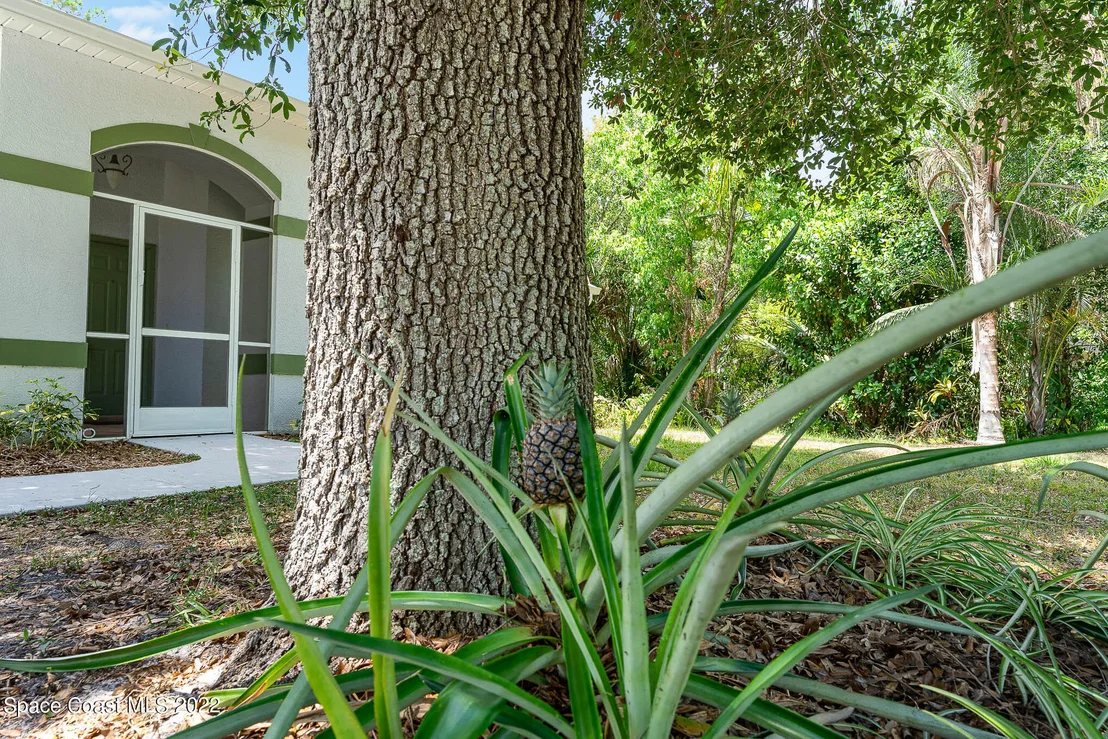 Photo of 6573 Sheridan Road