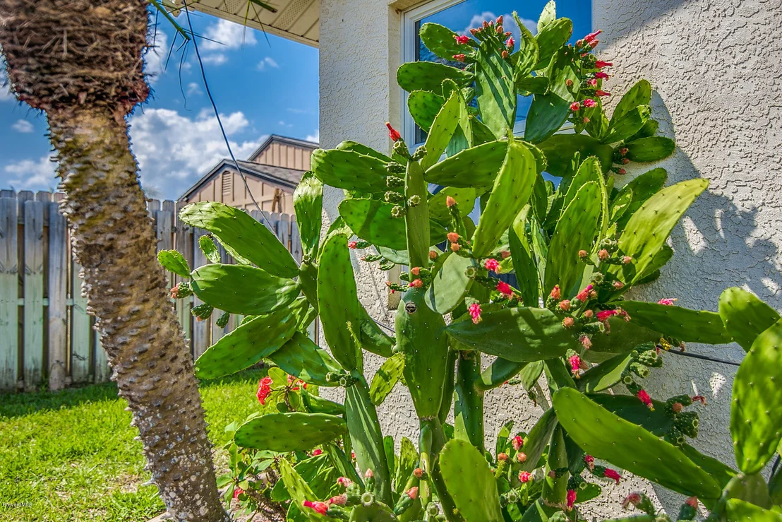 Photo of 177 Sand Pine Road