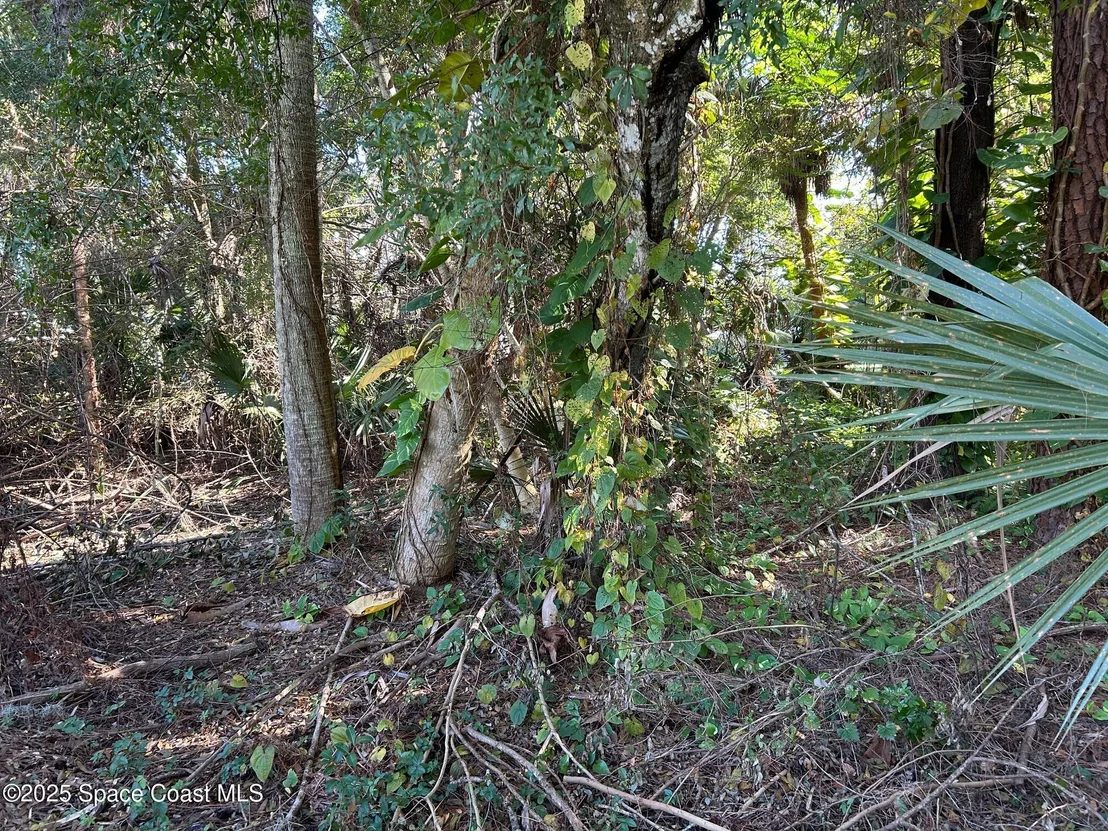 Photo of 2845 Sunset Road
