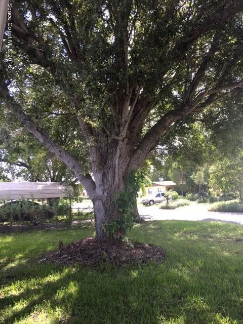 Photo of 518 A Lane