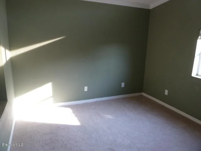 Photo of 8006 Bracken Lane