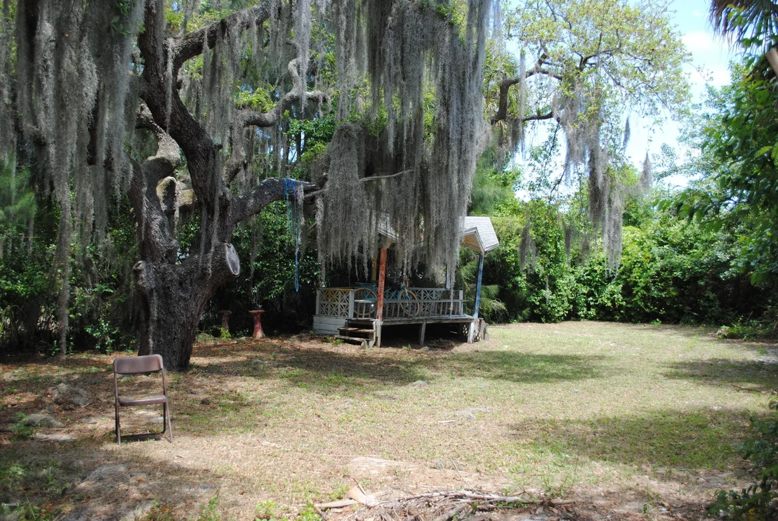 Photo of 2011 Bignonia Street