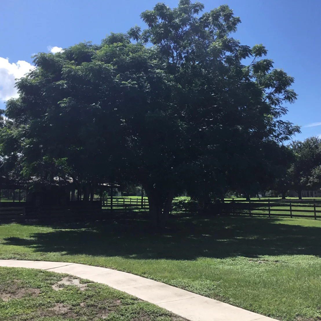 Photo of 5657 Dora Drive