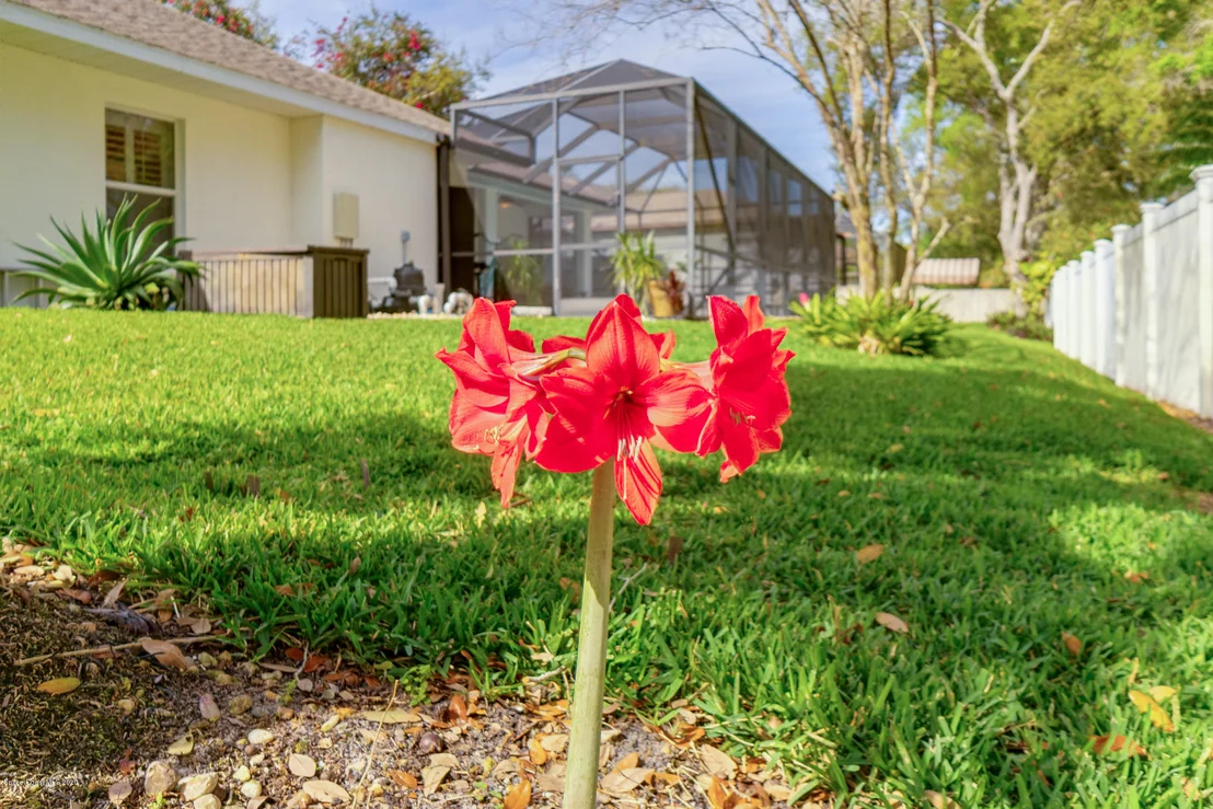 Photo of 1849 Fox Bay Drive