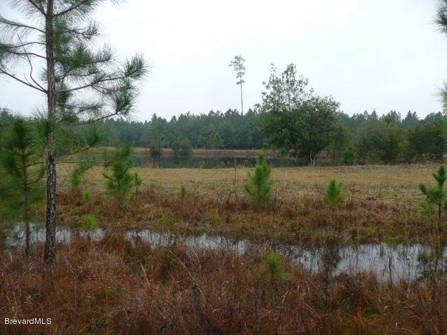 Photo of 780 Panther Path Way