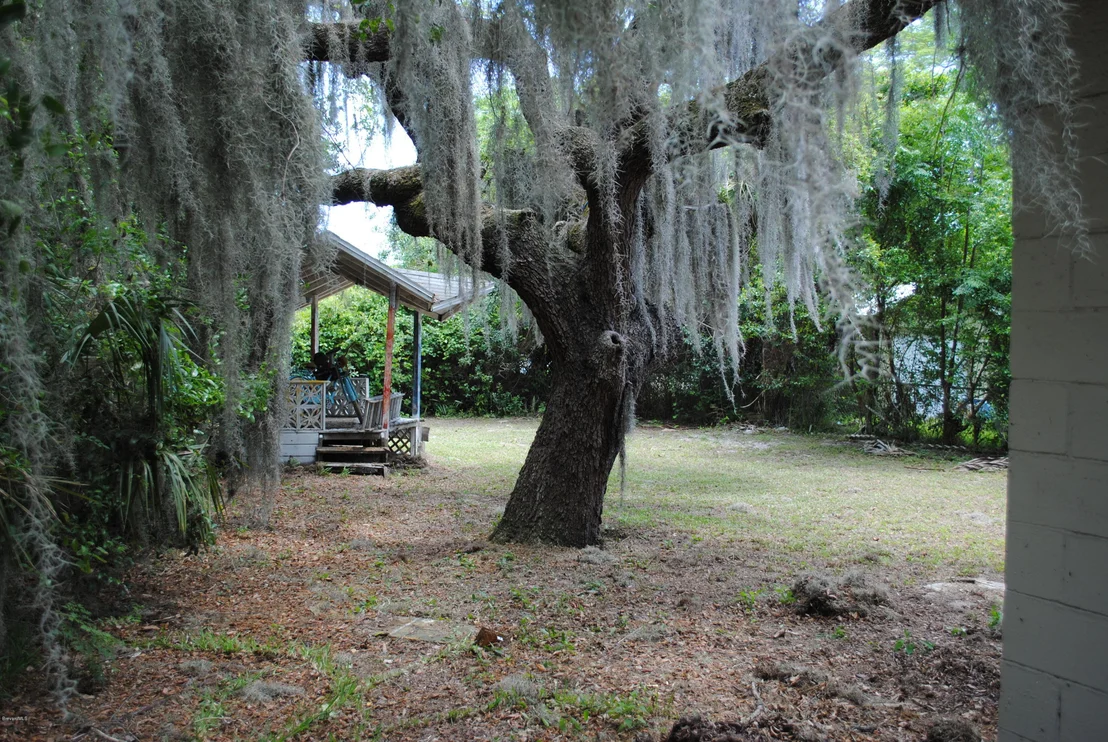 Photo of 2011 Bignonia Street