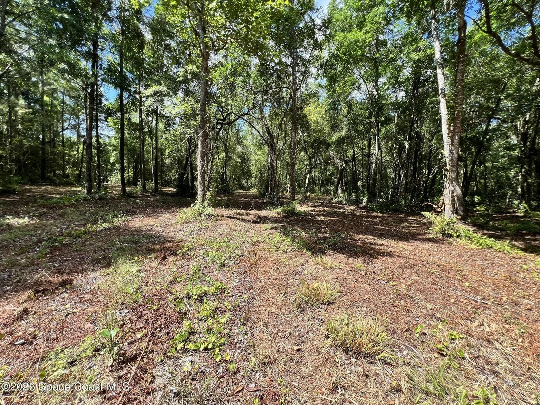 Photo of 1239,41,43 County Road 309