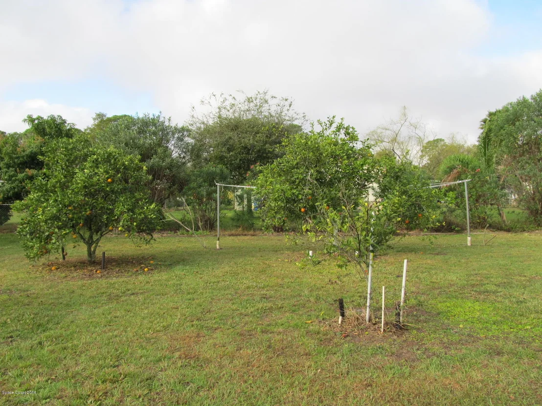 Photo of 24 Nina Jean Drive