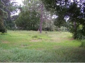 Photo of 4301 Lakeglen Drive