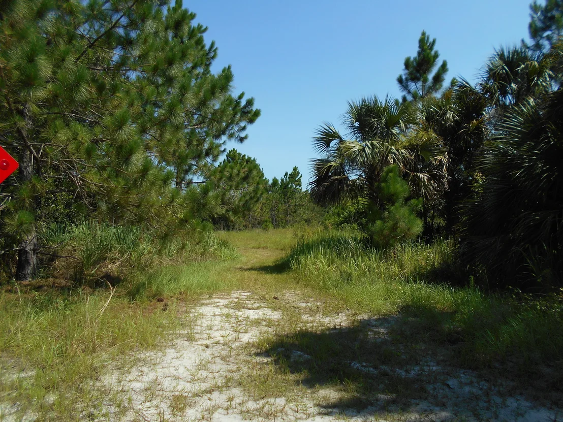 Photo of 3330 Tim'S Lane