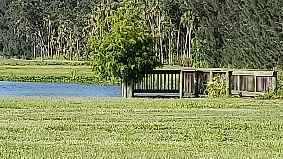 Photo of 1044 Pompano Drive