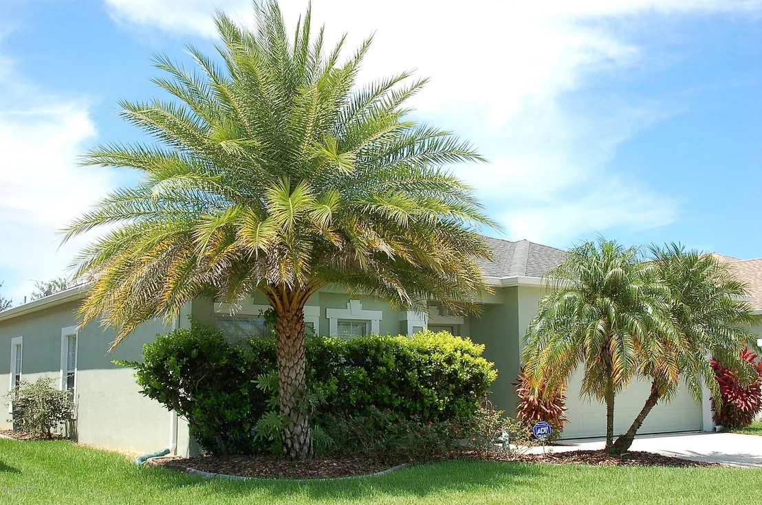Photo of 5986 Indigo Crossing Drive