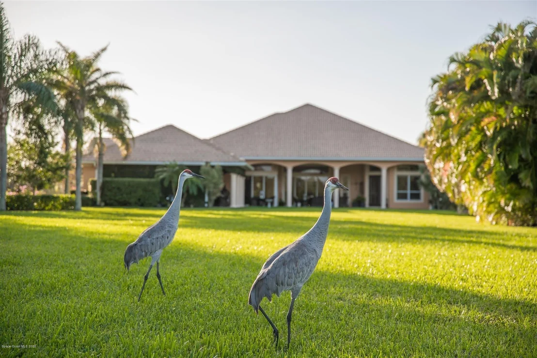 Photo of 3152 Bellwind Circle