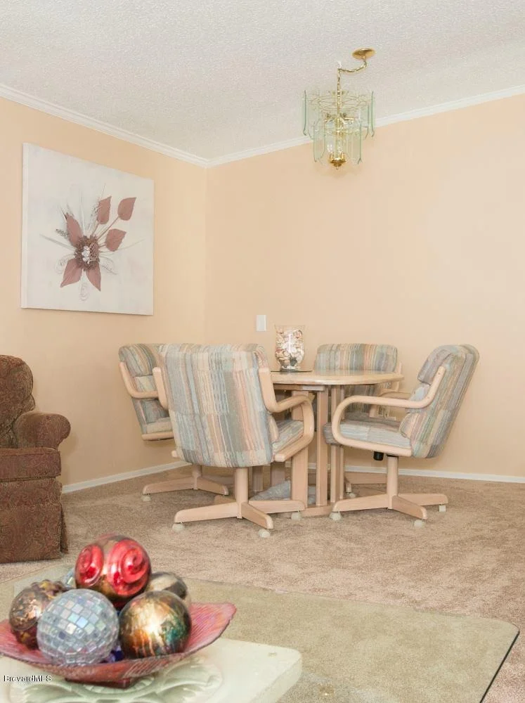 Photo of 316 Kiwi Drive