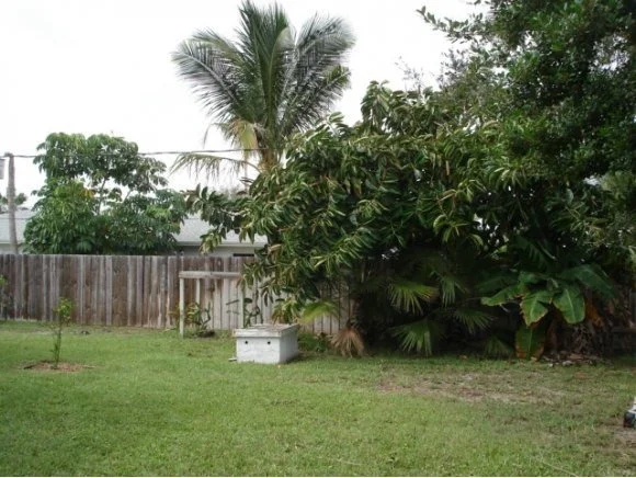 Photo of 218 Surf