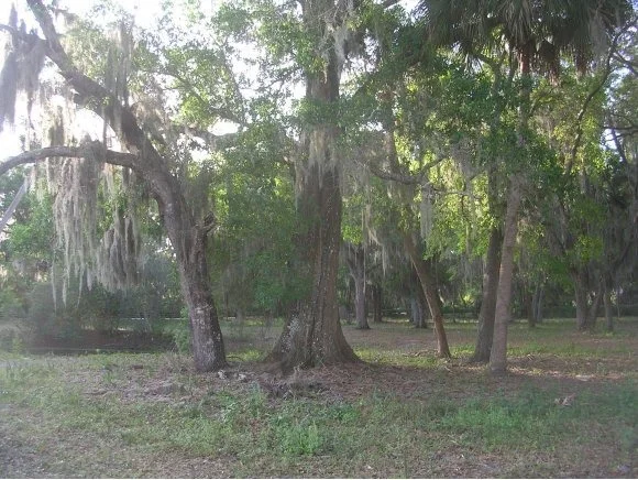 Photo of 0 Turtle Mound