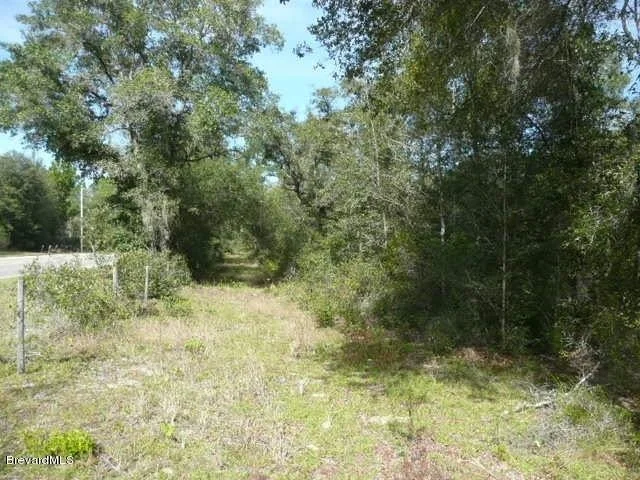 Photo of 780 Panther Path Way