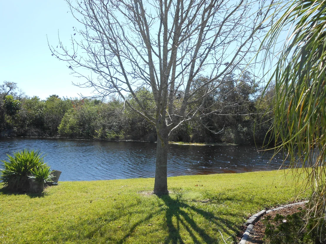 Photo of 2785 Forest Run Drive