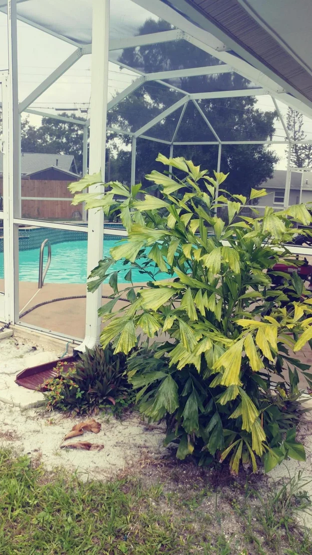 Photo of 362 Woods Lake Drive