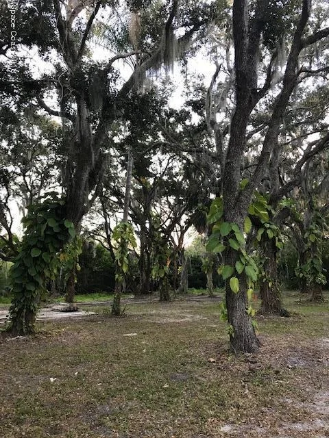 Photo of 217 Hellonson Drive