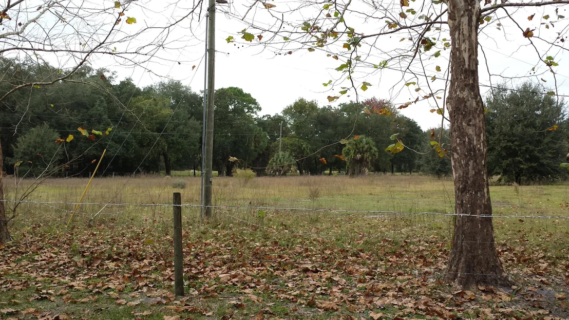 Photo of 6767 Laurel Oak Avenue