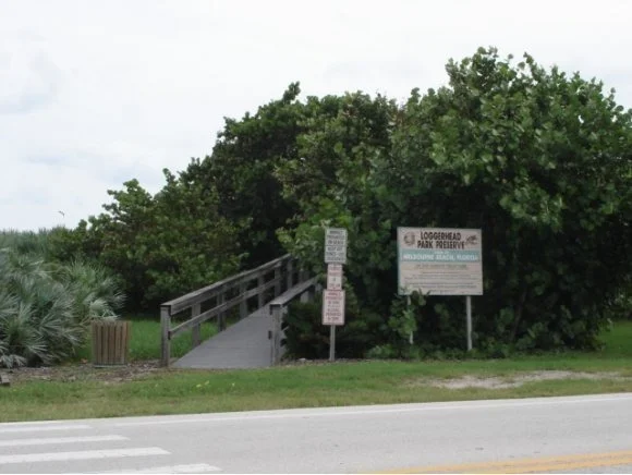 Photo of 218 Surf
