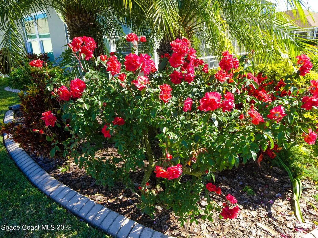 Photo of 1454 Boca Rio Drive