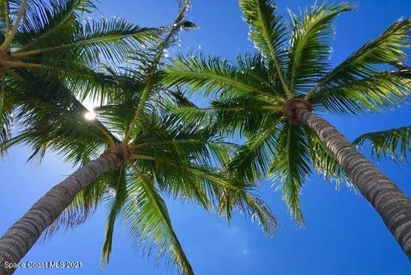 Photo of 735 Barefoot Boulevard