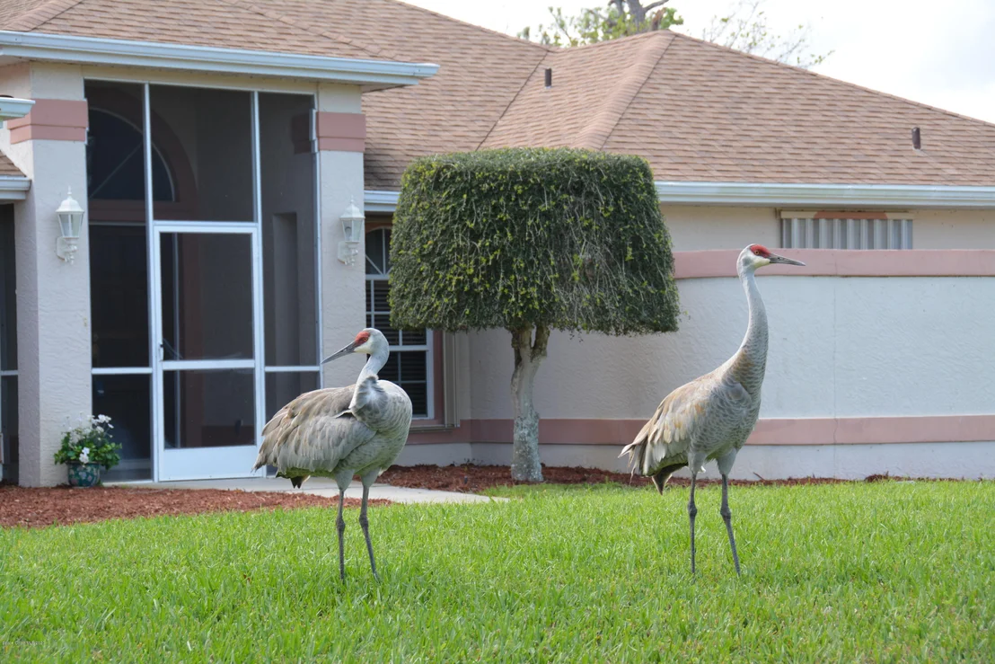 Photo of 3450 Big Pine Road