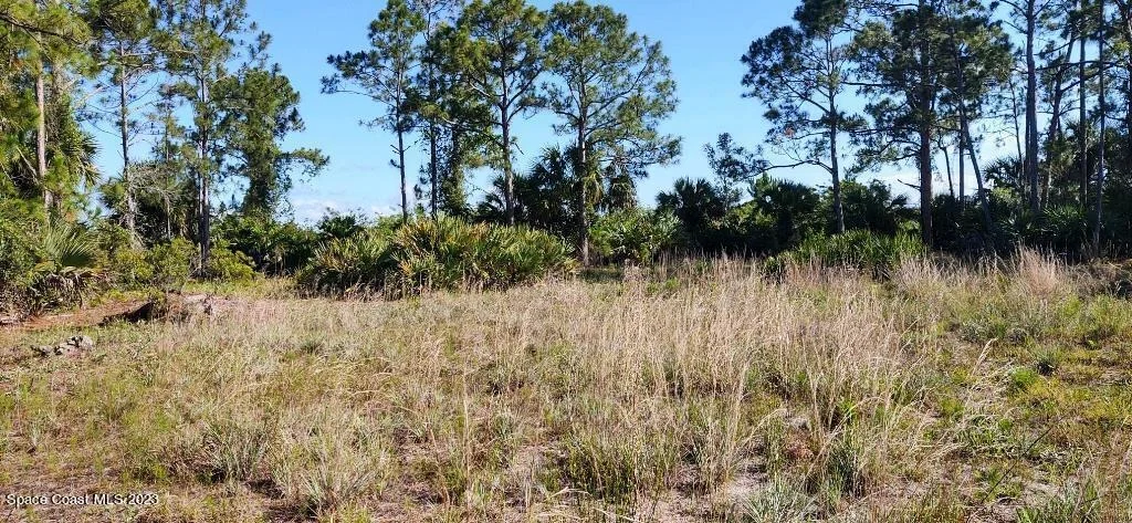 Photo of 7194 Orchid Tree Drive