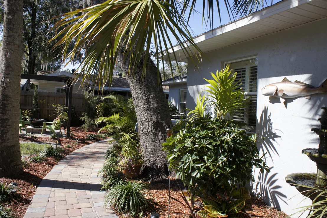 Photo of 555 Old Oak Street