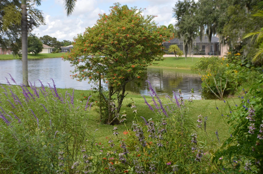 Photo of 2472 Woodfield Circle